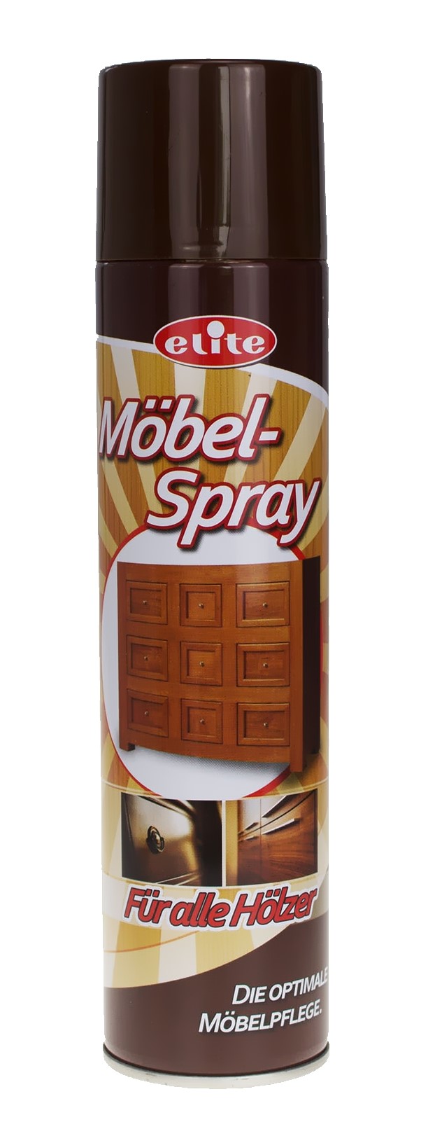 REINEX Möbelspray REINEX Möbelspray